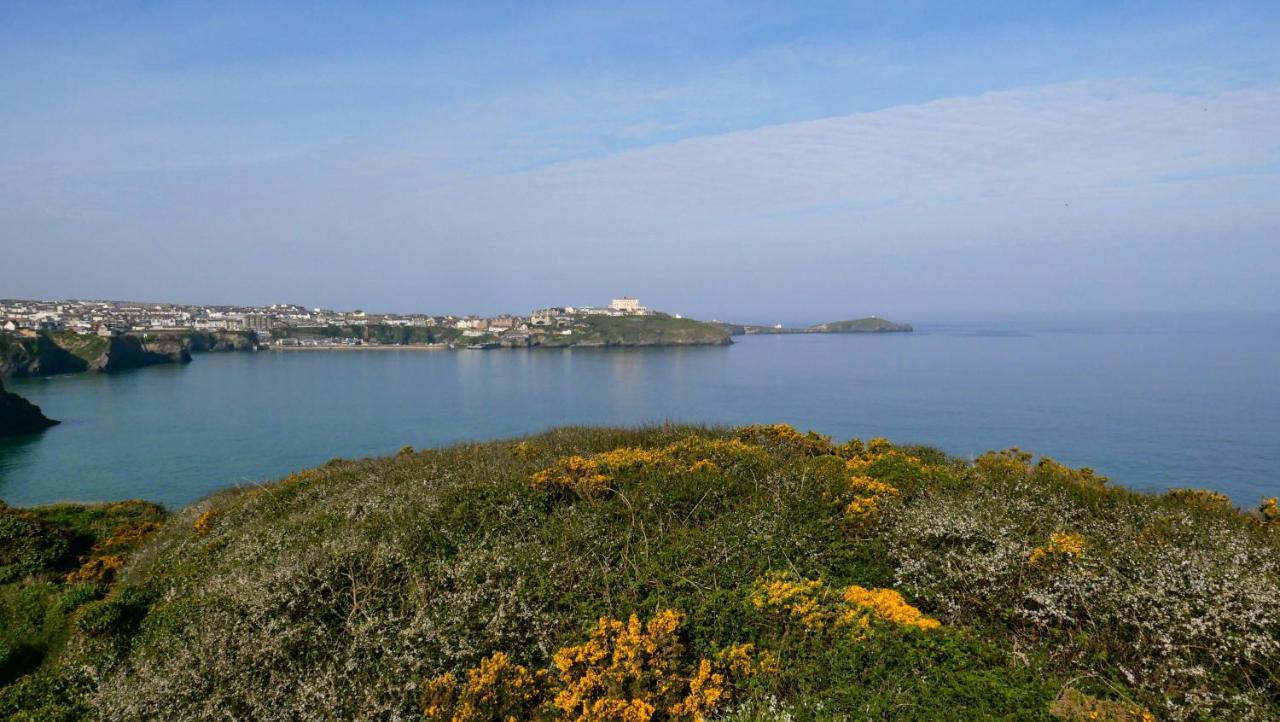 Ollies 4 Cribbar Διαμέρισμα New Quay Εξωτερικό φωτογραφία